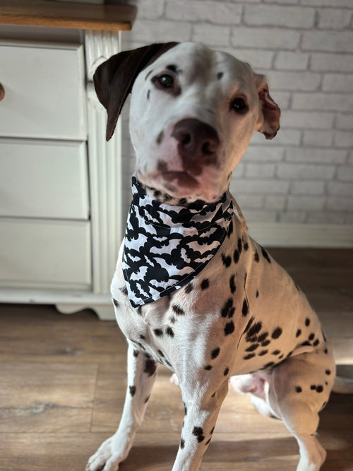 Bat Bandana