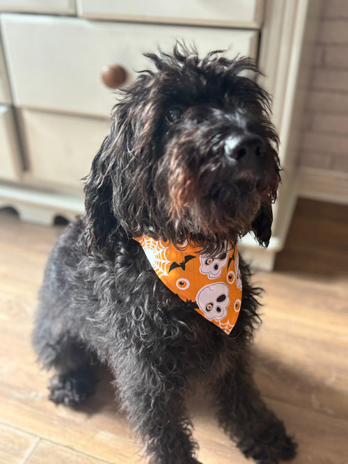 Bat & Skull Bandana